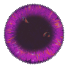 Portal